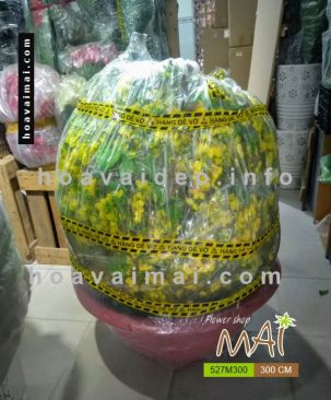 Mai Tết 3m 527M300