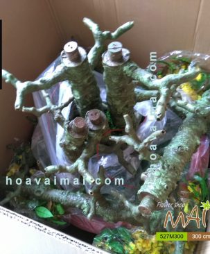 Mai Tết 3m 527M300