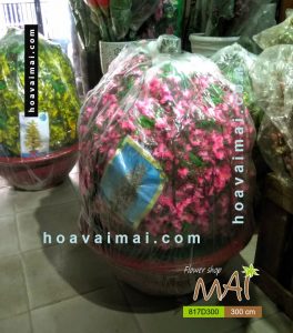 Đào Tết 300cm 817D300