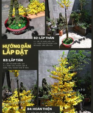 Hướng dẫn lắp ráp cây mai Tết (185cm - 423HM8)