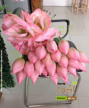 Sen búp lớn 678HSC