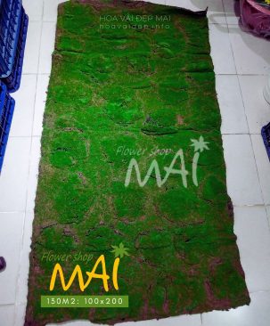 Tấm thảm rêu 2 mét vuông 130M2