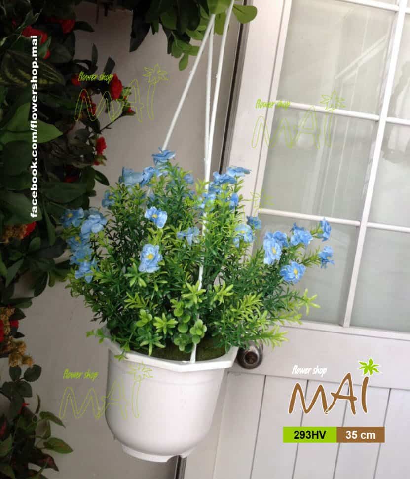 Hoa mười giờ treo 293HV
