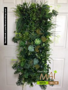 Mảng thực vật 660VD