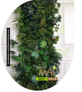 Mảng thực vật 660VD
