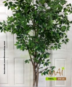 Cây xanh 708CL