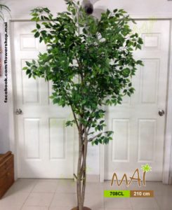 Cây xanh 708CL
