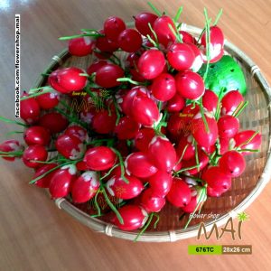 Buồng cau đỏ 676TC