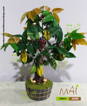 Cây khế để bàn 709CV