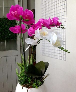 Chậu lan nhỏ 692CHL