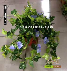Chậu hoa bìm 713HN