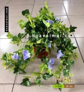 Chậu hoa bìm 713HN