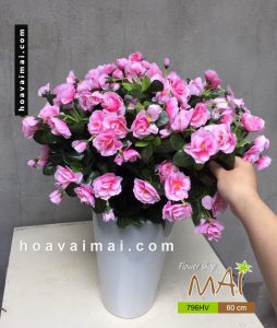 Chậu đỗ quyên 796HV