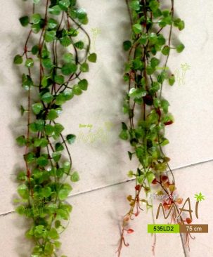 Bụi lá non 535LD2