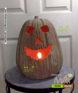 Bí đỏ Halloween 102GS