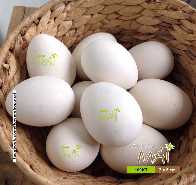Trái trứng vịt 109KT