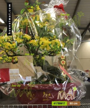 417BM17 Làm quà biếu Tết