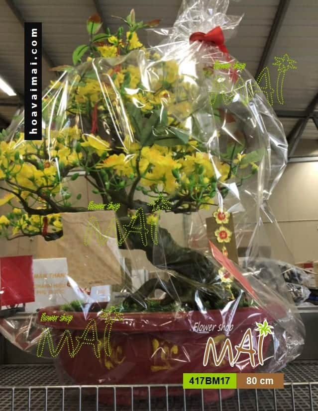 417BM17 Làm quà biếu Tết