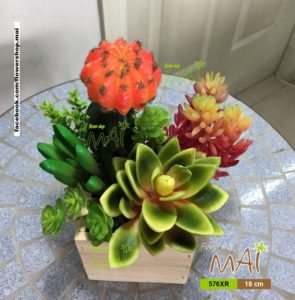 Lọ xương rồng 576XR