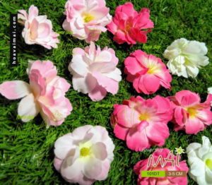 Bông đào đẹp 101DT