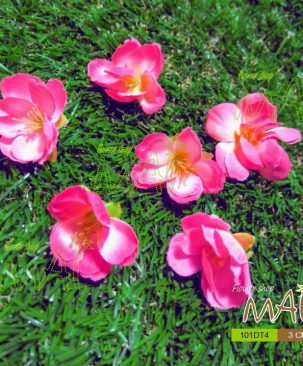 Bông đào nhỏ 101DT4