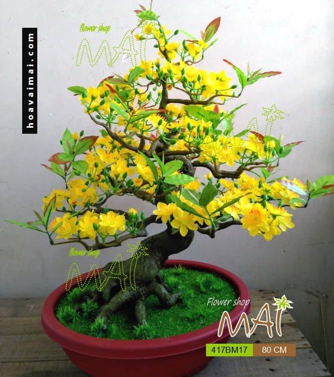 Chậu mai 80cm 417BM17