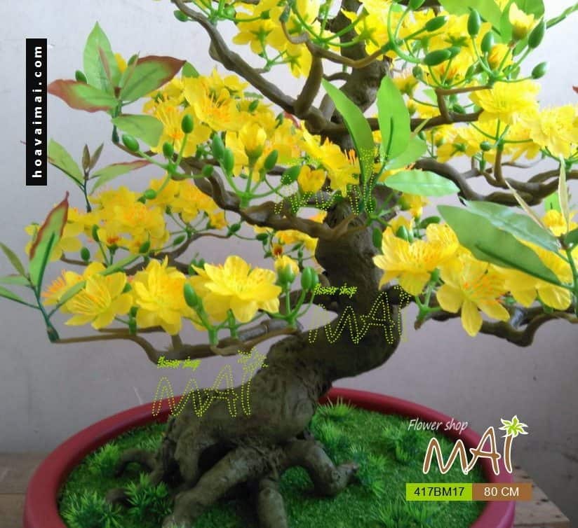 Chậu mai 80cm 417BM17