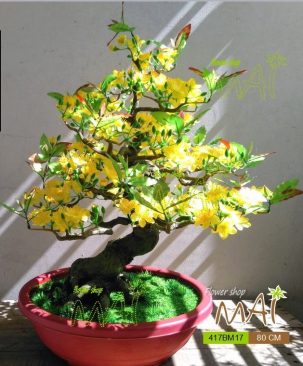 Chậu mai 80cm 417BM17
