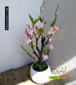 Chậu đào 538DT2