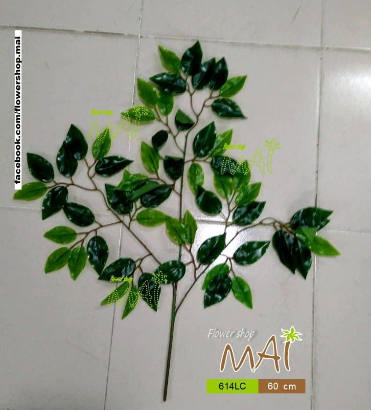 Lá si nhỏ 614LC