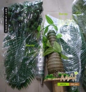 Cây cau 681CL 2,2m