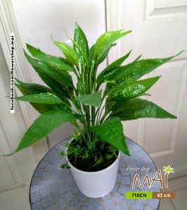 Chậu cây để bàn 718CN