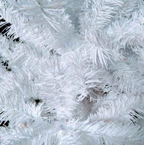 Cây thông Noel trắng
