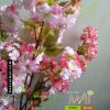Cành đào Sakura giả đẹp 419DT