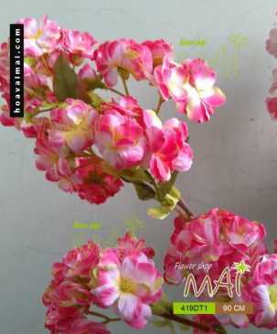 Đào Sakura 419DT1