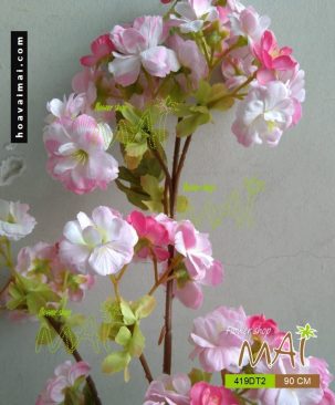 Đào Sakura 419DT2