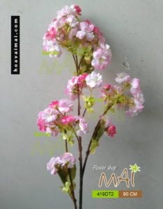 Đào Sakura 419DT2