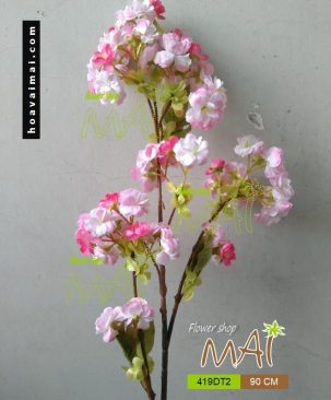 Đào Sakura 419DT2