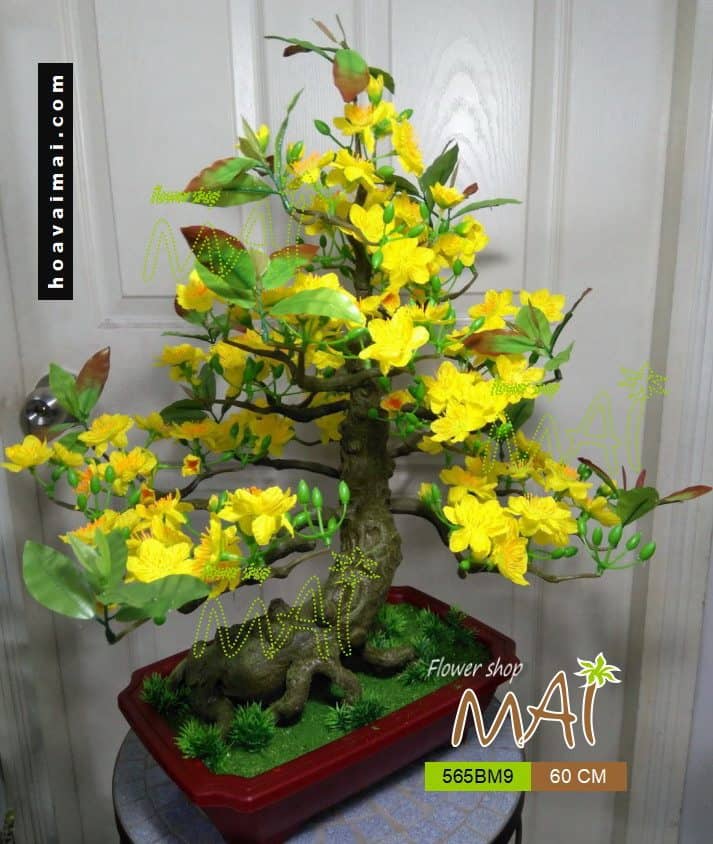 Mai bonsai 60cm 565BM9