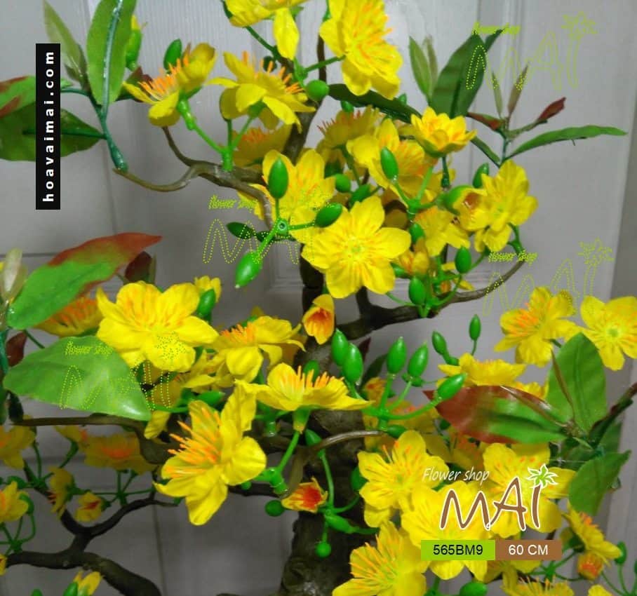 Mai bonsai 60cm 565BM9
