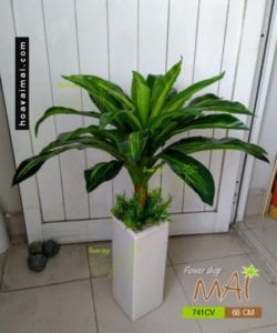 Phát tài thấp 741CV