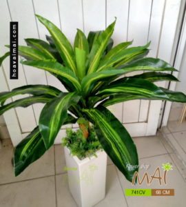 Phát tài thấp 741CV