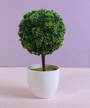 Cây hình cầu 743CV