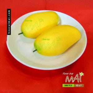 Xoài cát nhỏ 565TC2