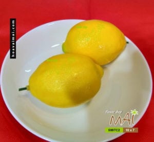Chanh vàng lớn 599TC2