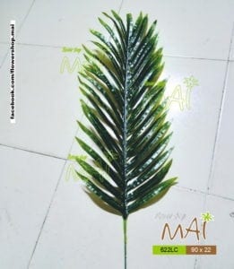 Lá dừa kiểng 622LC