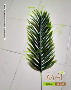 Lá dừa kiểng 622LC