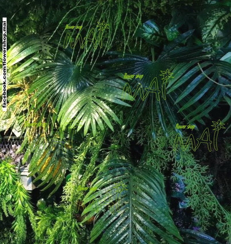 Phong cách nhiệt đới - Lá dừa kiểng, cọ kiểng 622LC - 621LC