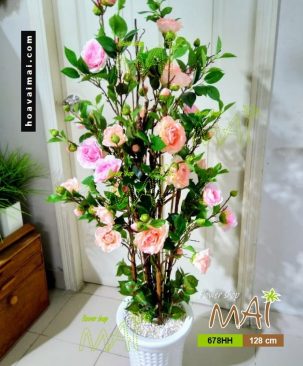 Chậu hồng trà 678HH