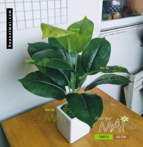 Lọ cây để bàn 749CV